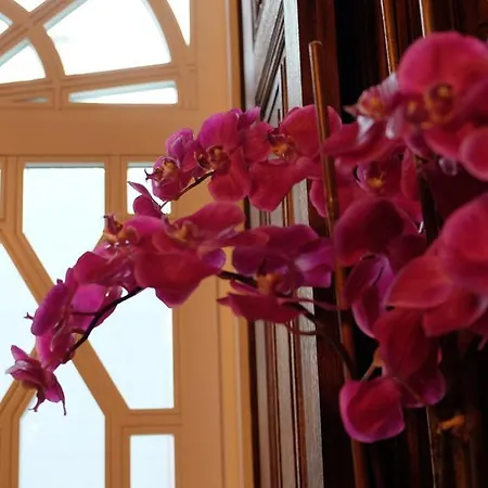 Finestay Palace *